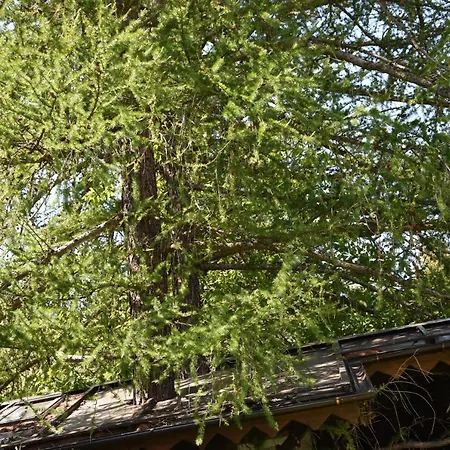 Chalet La Capanna Sull'albero De Ilvillaggiodibaffy